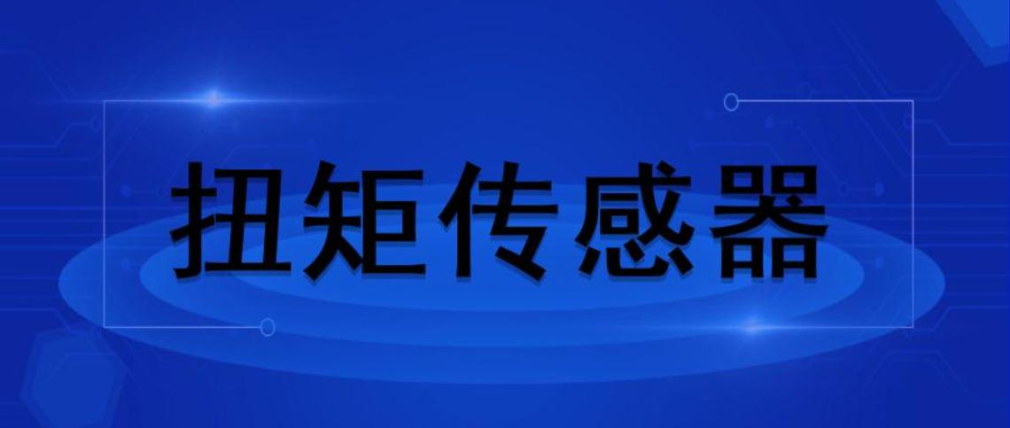 动态扭矩传感器是一种测量各种扭矩、及机械功率的精密测量仪器